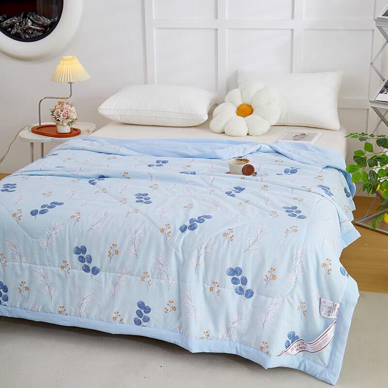 BGM-B2508 Nuo Xiaomian Antibacterial Skin-Friendly Quilt