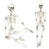 Halloween Resin Full Body Skeletons with Movable Joints for Home Costume Party Decoration PropsM