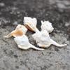 Natural Seashell Specimen - Aquarium Decor, Photography Props, Handicrafts, Neck Ring Shell Inlay