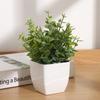 Mini Potted Fake Plants Artificial Greenery Plants Plastic Eucalyptus In Pot For Home Office Desk Coffee Table Farmhouse Decor