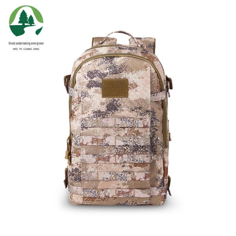 Outdoor Tactical Assault Backpack