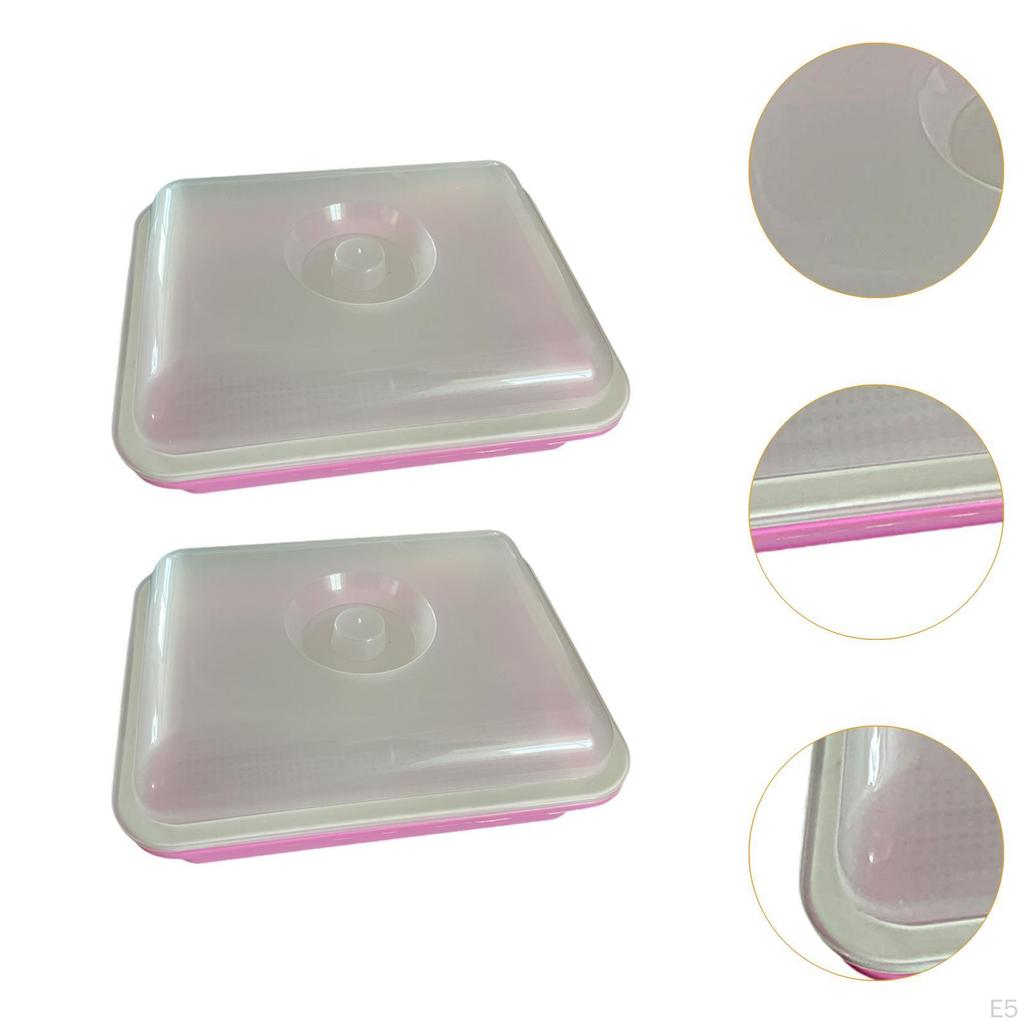 Seed Sprouting Trays for Plant Growth