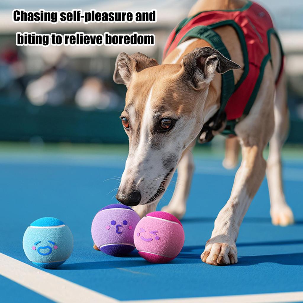 6pcs Pet Dogs Tennis Balls, Interactive Toys For Dog, Chew-resistant Durable Rubber Tennis Balls, Puppy Indoor Outdoor Play Toys