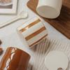 Vintage Ceramic Striped Hand Painted Spice Jars Set with Spoon Kitchen Storage Containers