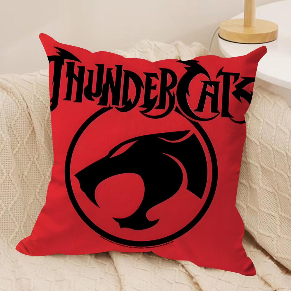 Cartoon T-Thunder-CatsES Cushion Cover Soft Plush Fabric Double-Sided Printed Sofa Cushion Cover for All Seasons Home Decor Gift