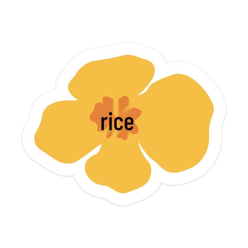 Diatomaceous Earth Coaster and Draining Mat