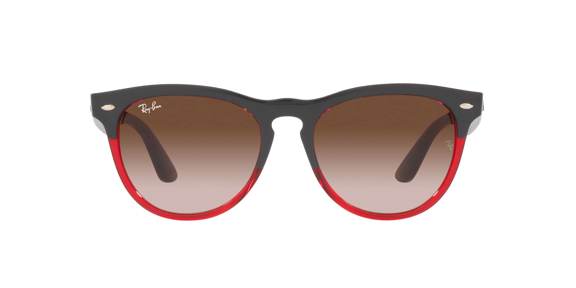 

Sunglasses RB4471 IRIS 663113 GRAY ON TRANSPARENT RED 54 [Ray-Ban]