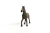 Schleich Horse Club Oldenburg 13946 (Male)