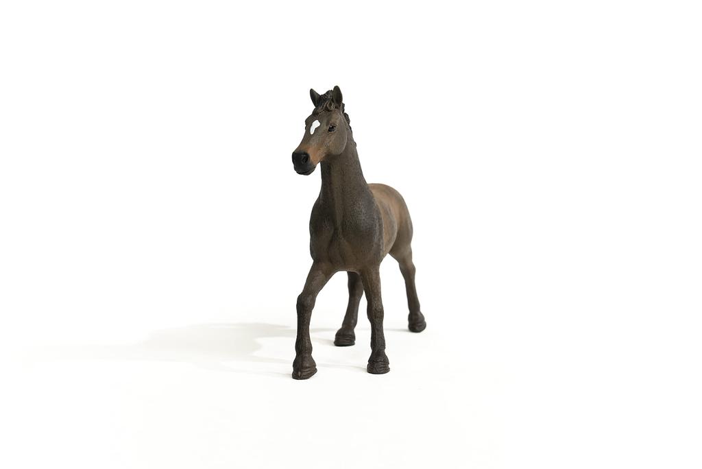Schleich Horse Club Oldenburg 13946 (Male)