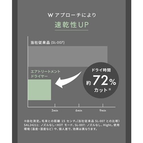 SALONIA Air Treatment Dryer Large Air Volume Quick Drying Lightweight Hair Dryer Stone Gray [.co.jp Exclusive]