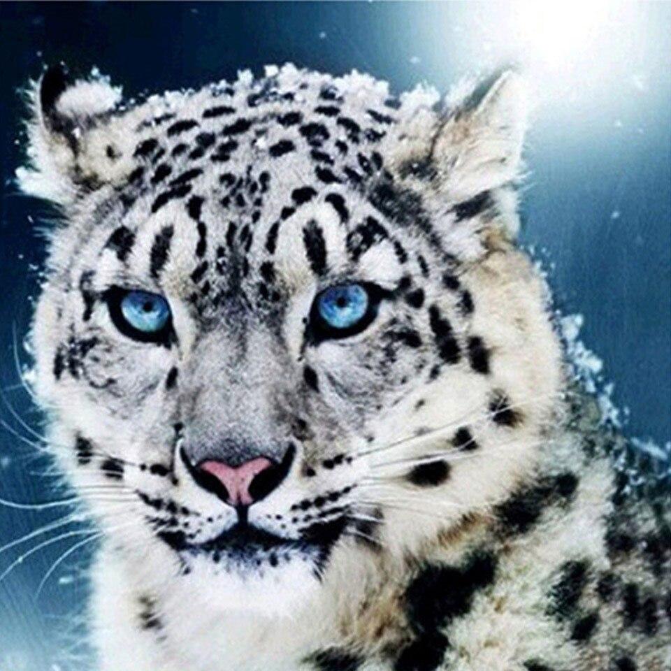 

5D DIY алмазная живопись животное попугай Сова птица вышивка крестиком полная дрель Алмазная вышивка мозаика художественная картина Декор из страз Full Round 20x20CM