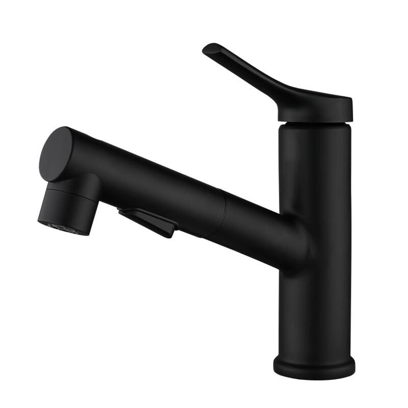 TLXT Stainless Steel Pull-out Basin Faucet