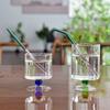 Glass Straw High Borosilicate Beautiful Practical for Adults And Kids