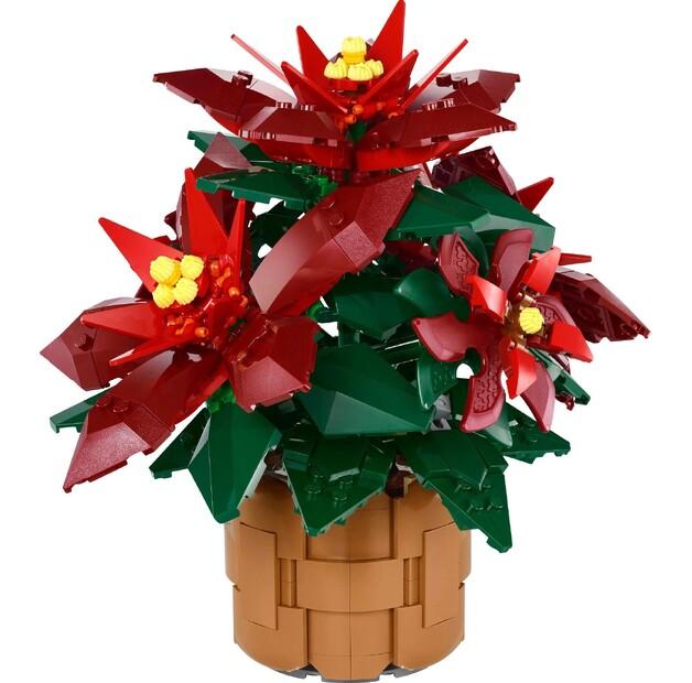 Конструктор LEGO Botanicals 10370 Вифлеемская звезда