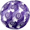 Austria Wien FC Size 5 Standard Football Durable Training Match Soccer Ball for Adult Outdoor Sports