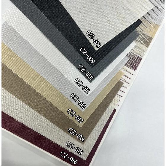 Customized Blackout Smart Tuya Google Wifi Control Exchangeable Motor Dual Layer Roller Zebra Blinds For House