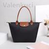 Shoulder Bags for Women Luxury Handbags Designer Famous Tote Women Messegner Crossbody Bag Female Casual Top-handle Bag E300-1