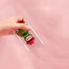 Action Figures Storage Box Display Cabinet Pet Blind Box Model Toy Organizer