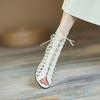 Fashion Cowhide Hollowed Out Cross Strap Fish Mouth Cool Boots Spring Summer Women Electroplated Full Diamond 3cm Low Heel Sandals 33-44