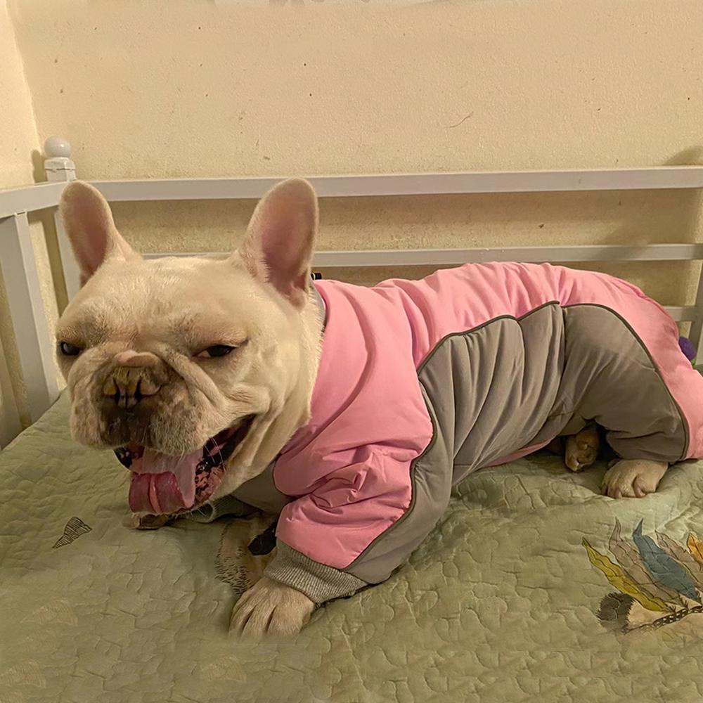 Warme Winterkleidung für Hunde mit D-Ring, dickes Fleecefutter, wasserdicht, winddicht, Jacke für Welpen, Chihuahua, fester Kostümmantel, Kleidung für französische Bulldogge