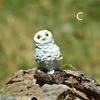 Mini Owl Branch Garden Ornaments Resin Crafts Fairy Garden Dollhouse  Moss Micro Landscape Bonsai Decorative DIY