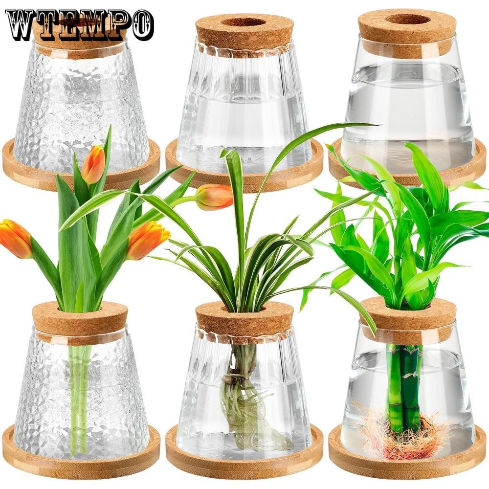3pcs Plants Propagation Station Separated Desktop Plant Terrarium with Wood Lid and Stand 3 Style Glass Planter Propagated Jars