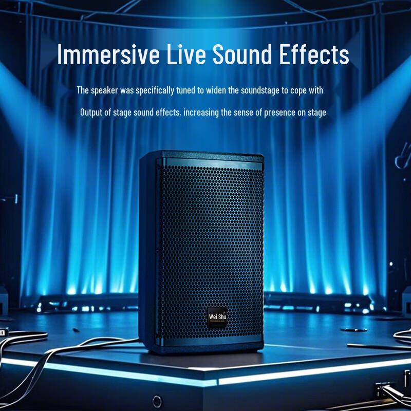Weishu BM-680 Conference Full-range Passive Speaker (CN Version)
