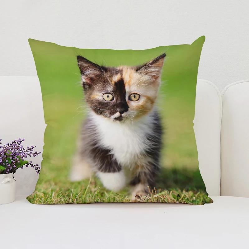 Cute Cat Decorative Pillow Cover 45x45 Cushions Covers Pillowcase 45*45 Bed Pillowcases Cover for Living Room Cushions Cushion
