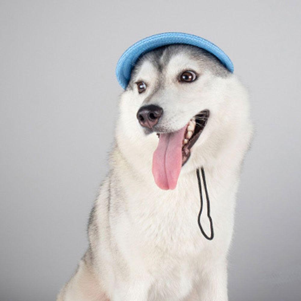 Comfortable Solid Color Pet Baseball Hat with Ear Holes Breathable Dog Cap Adjustable Sun Protection Dogs Sun Hat Puppy Pet