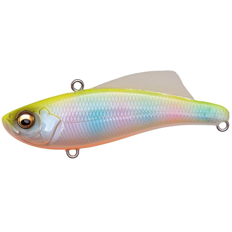 

megabus BIRAN 70(Biran 70) 20g PM chart back rainbow