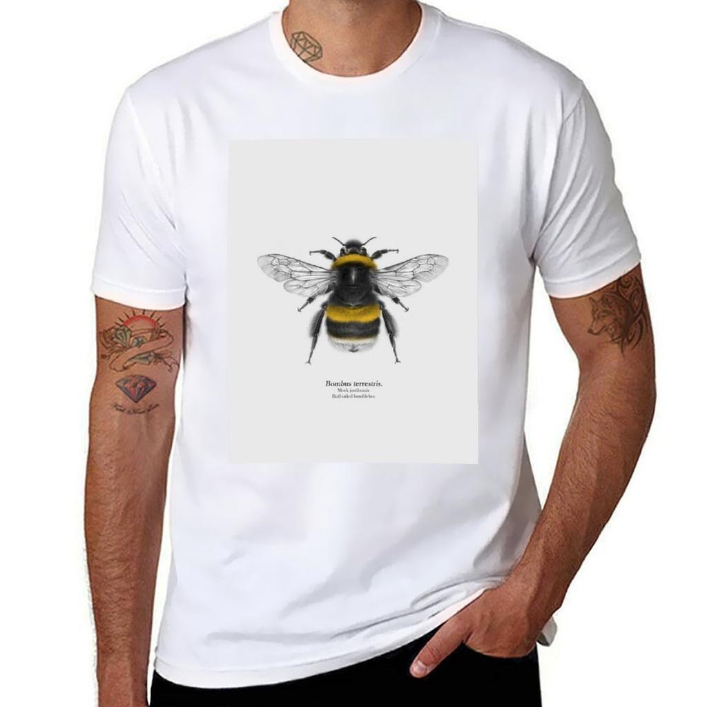 Bombus terrestris TShirt Big and Tall Solid Color TShirt