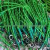Stainless Steel Heavy-Duty Hook & Loop Hammock Chair Straps - Outdoor Swing & Yoga Suspension Ropes