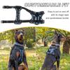 Doberman Large Dog No-Pull Retractable Leash & Harness