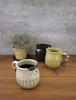 Decore Corporation Shinogineko Mug Hachi D12 Size Approx. W8.5 H9.6 MG-61624