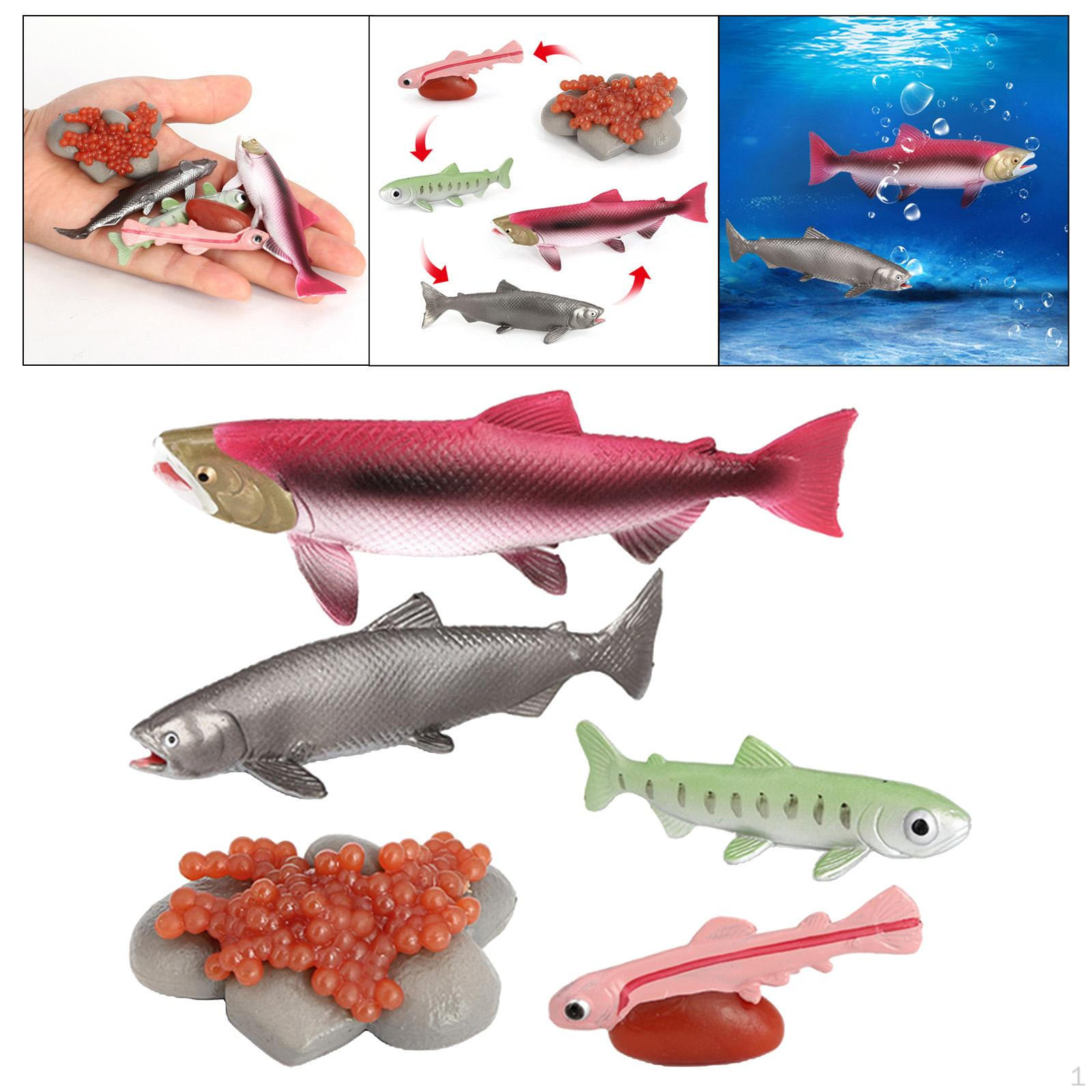 

Жизненный цикл животных Лосось Модель Игрушка Дети Детские игрушки Salmon