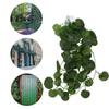 Reptile Simulation Plant Decorative Landscaping False Vine for Reptile Rainforest BoxNFF?83 Green