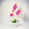 Phalaenopsis Potted Plant Ornament For Office Desk And Living Room Decor