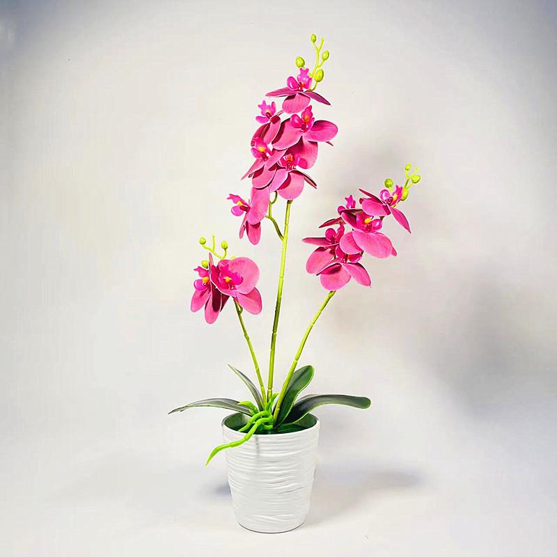 Phalaenopsis Potted Plant Ornament For Office Desk And Living Room Decor