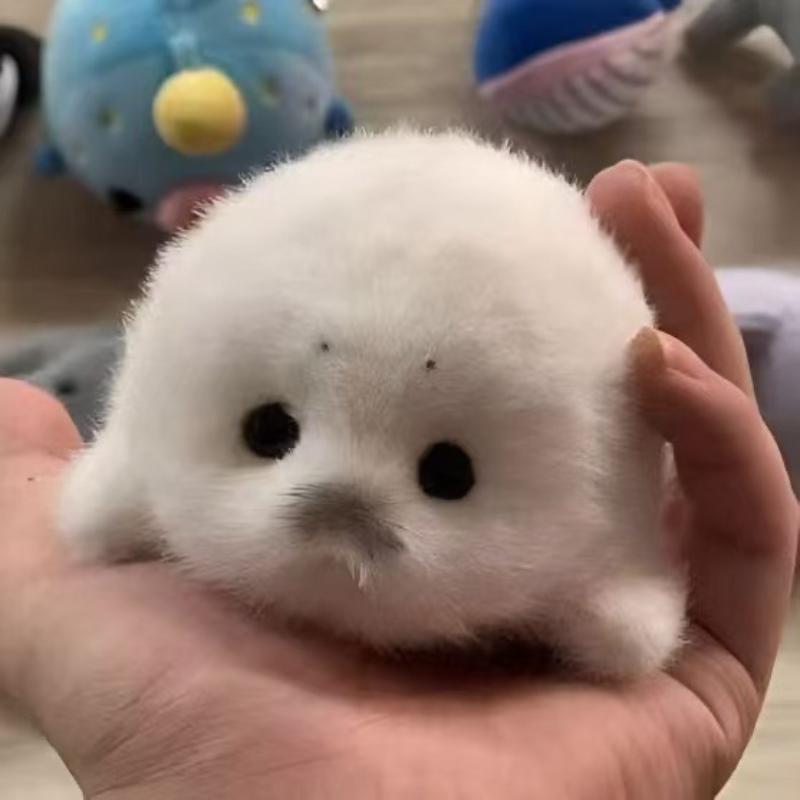 Cute Baby Seal Doll Plush Toy Pendant Simulation Ocean Toy Souvenir Seal Pendant Gift Doll Bag Pendant