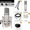 U87 Metal Diaphragm Microphone Set: Live Streaming & Recording Studio Kit with Boom Stand