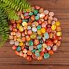 Yuhuashi Natural Colorful Agate Pebbles for Aquariums, Landscaping, and Flower Pots