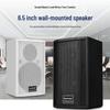 KAXISAIER Professional 100W Passive Full-Range Speakers