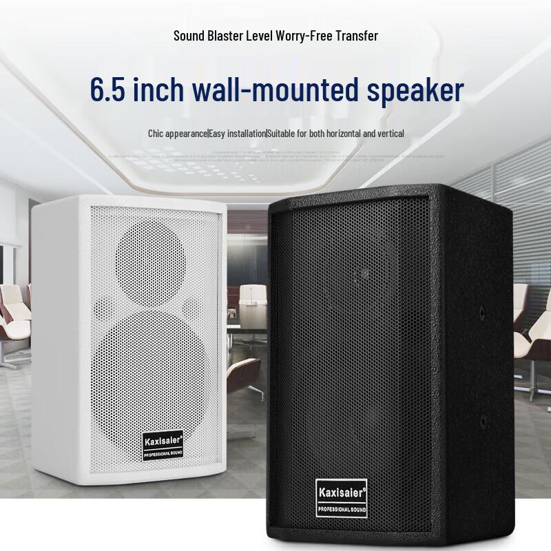 KAXISAIER Professional 100W Passive Full-Range Speakers