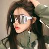 European and American Outdoor Sports Cycling Silver Glasses, Mountaineering Night Riding Sunglasses, Integrated Protective Windproof Goggles,
