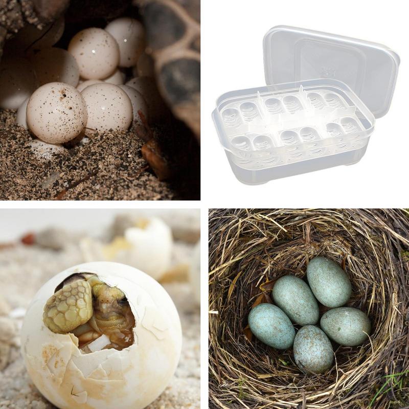 Incubadora de Cría de Reptiles 12 Rejillas Incubadora de Huevos de Tortuga Transparente Caja de Incubación de Anfibios Para Tortuga Melena de León