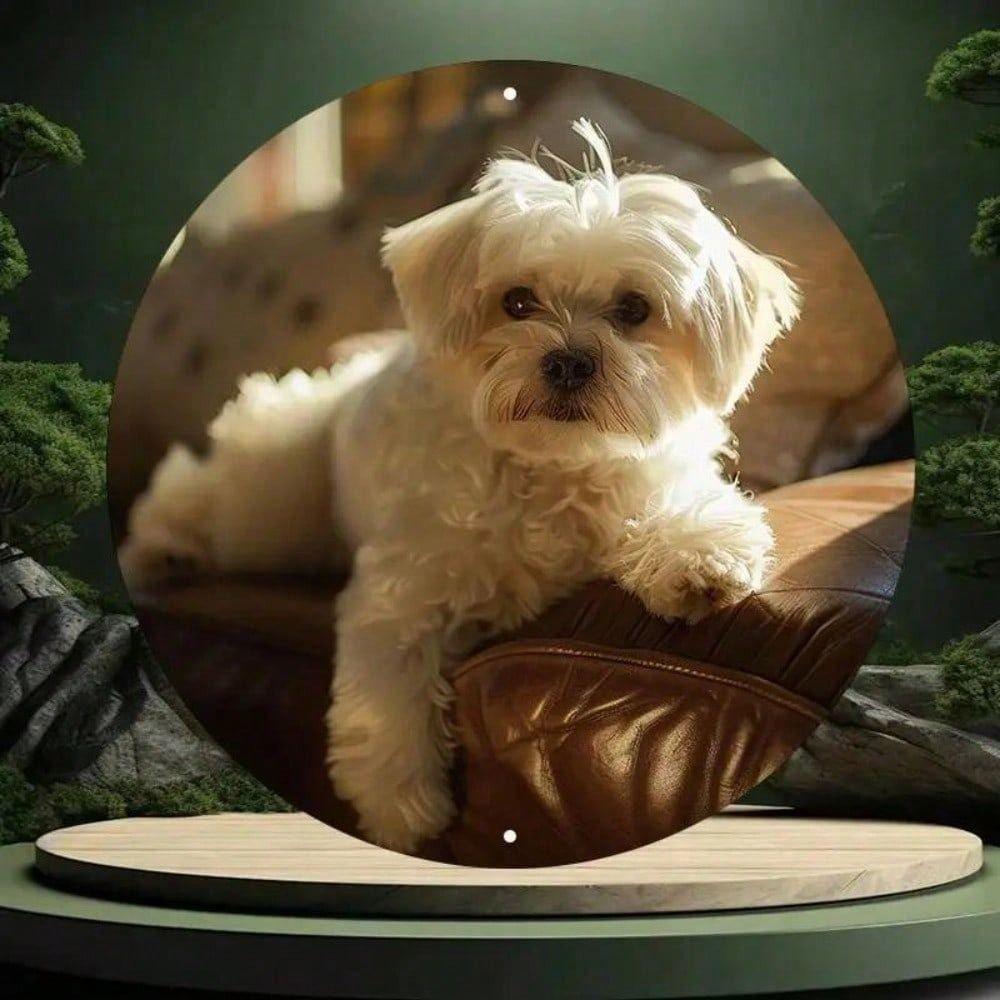 Maltese Dog Metal Wall Art Poster, White Maltese Canine Home Decor