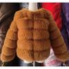 VAYLA Damenmode Kunstpelzmantel Super Heiß Herbst Winter Damen Kurze Kunstfuchs Fell Flauschige Jacke Hohe Qualität Top Damen Pelzmäntel