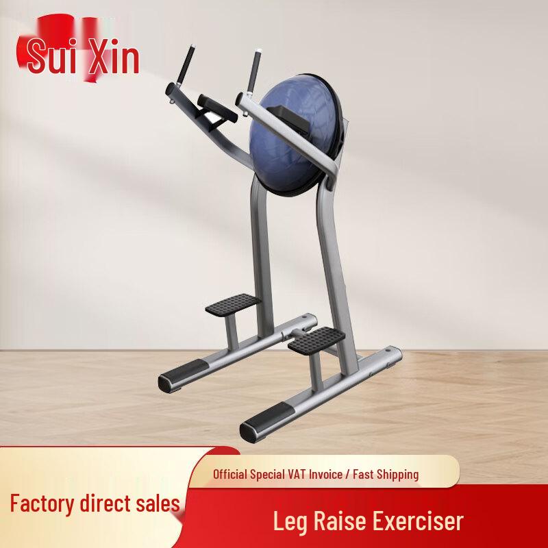 Commercial Leg Raise Machine