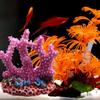 Colorful Artificial Vivid Resin Undersea Coral Stone Fake Coral Simulation Coral Micro Ornaments