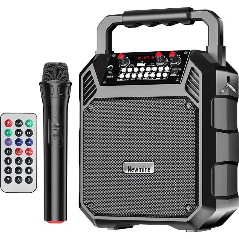 Newsmy K503 Portable Bluetooth Karaoke Speaker (CN version)